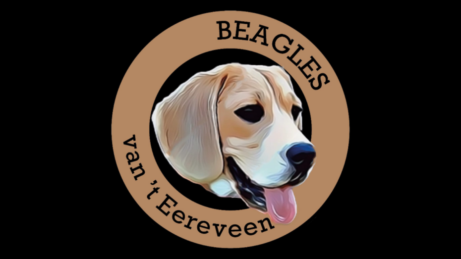 van ‘t Eereveen Beagles