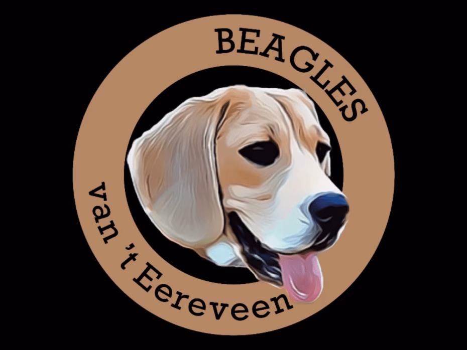 van ’t Eereveen Beagles