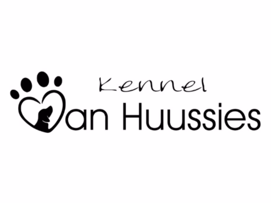 Vanhuussies Beagles