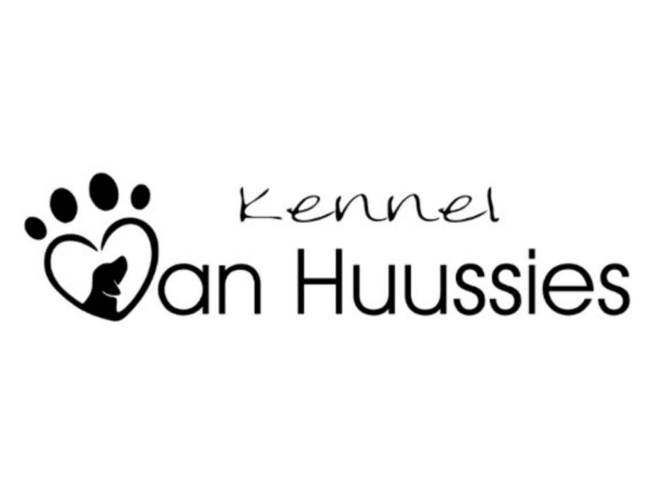Vanhuussies Beagles