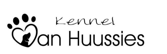 Vanhuussies Beagles