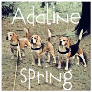 Adaline Spring Beagles