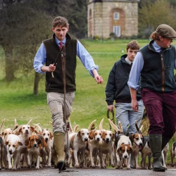 HAH300.ht_school.stowe_beagles_tom_gurney_features_20pn_49262_384859011_668975192_ti_archive-920x518