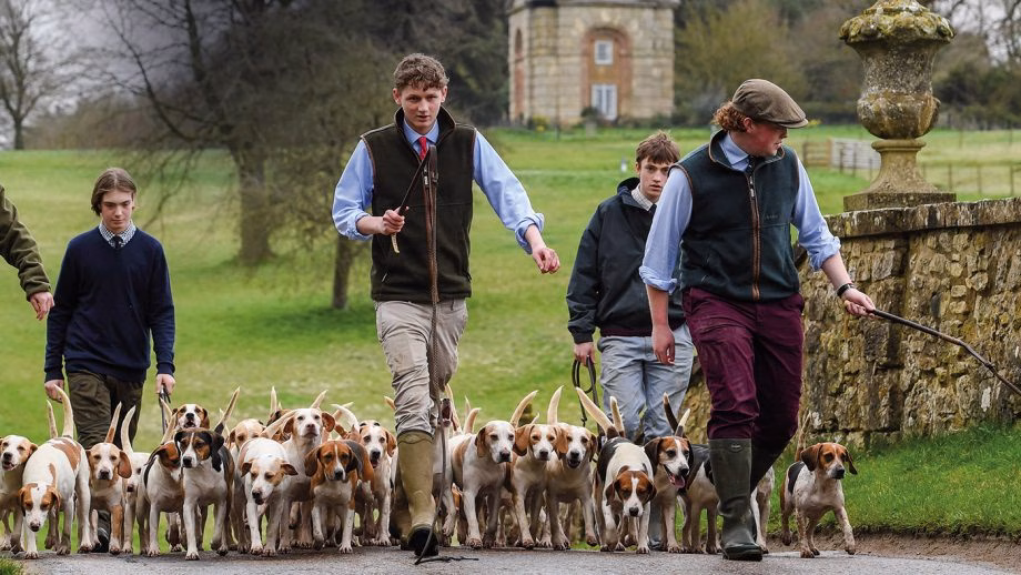 HAH300.ht_school.stowe_beagles_tom_gurney_features_20pn_49262_384859011_668975192_ti_archive-920x518