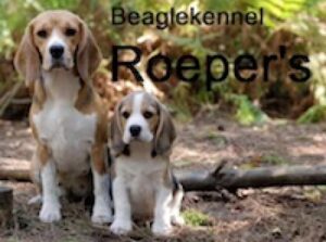 Kennel Roeper’s