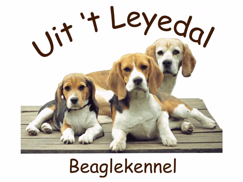 Uit ’t Leyedal