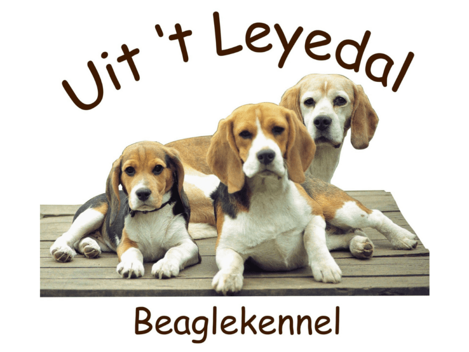 Uit ‘t Leyedal