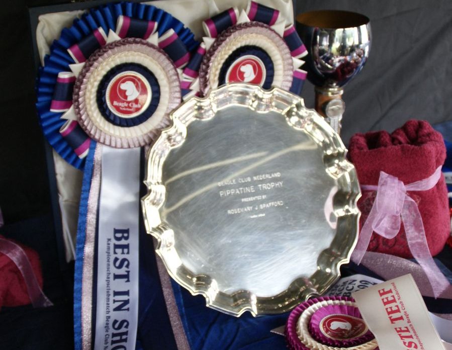 Inschrijvingen Kampioenschapsclubmatch staan open!