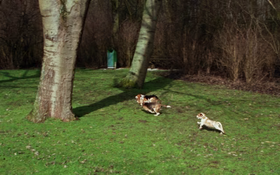 Wandeling organiseren