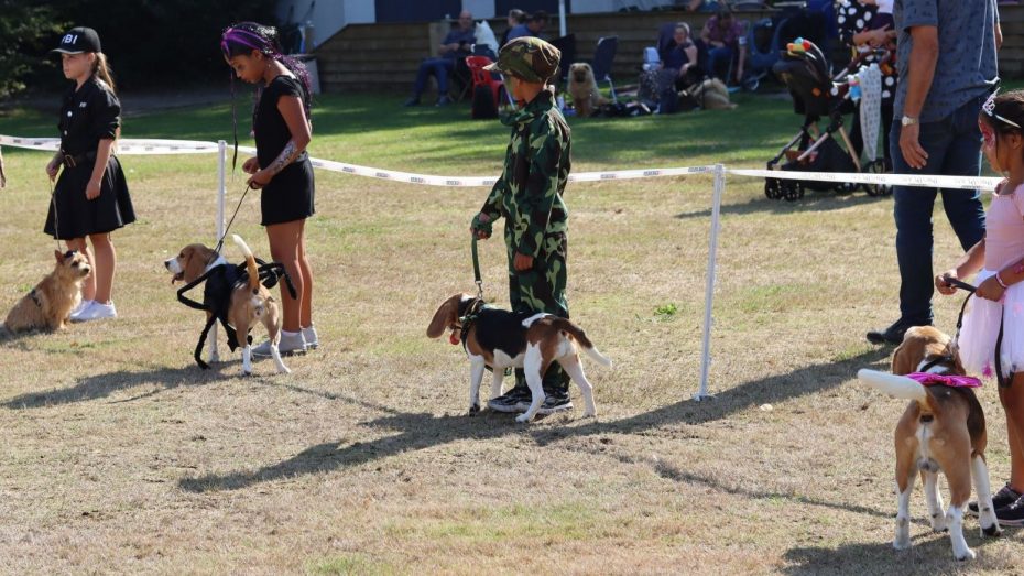 25-06-2023 Kind-Hond verkiezing