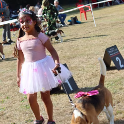 kind-hond1