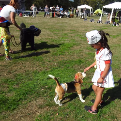 kind-hond2