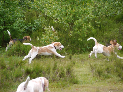 01-10-2023 We gaan wandelen!