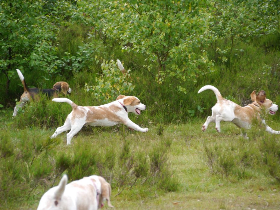 01-10-2023 We gaan wandelen!