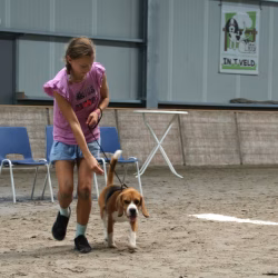 2023 KCM Junior Handling14
