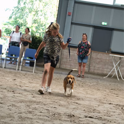 10-09-2023 KCM Juniorhandling