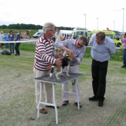 JHD hond tafel.2
