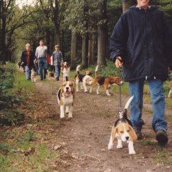 20230702 Ot en Sien-14 (Eerste wandeling)