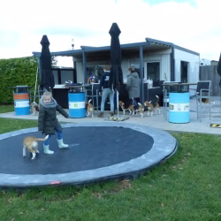 20240421 Ut Poeleke Beaglespeeldag-03