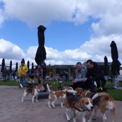 20240421 Ut Poeleke Beaglespeeldag-07