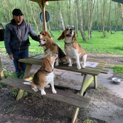 20240508 Beaglespeelavond Vlaardingen-9