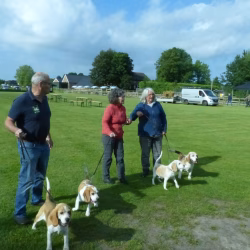 20240609 Beagle Clubdag-02