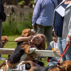 20240609 Beagle Clubdag-23
