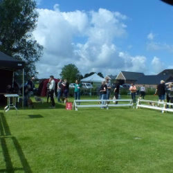 20240609 Jonge Hondendag-01