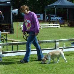 20240609 Jonge Hondendag-06