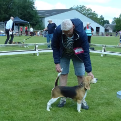 20240609 Jonge Hondendag-12
