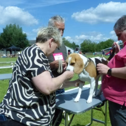 20240609 Jonge Hondendag-18