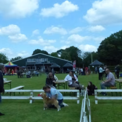 20240609 Jonge Hondendag-21
