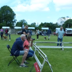 20240609 Jonge Hondendag-22