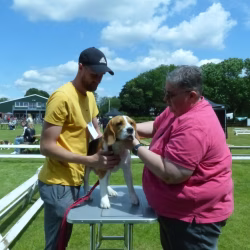 20240609 Jonge Hondendag-23
