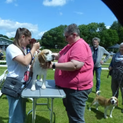 20240609 Jonge Hondendag-26