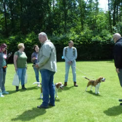 20240609 Jonge Hondendag-28