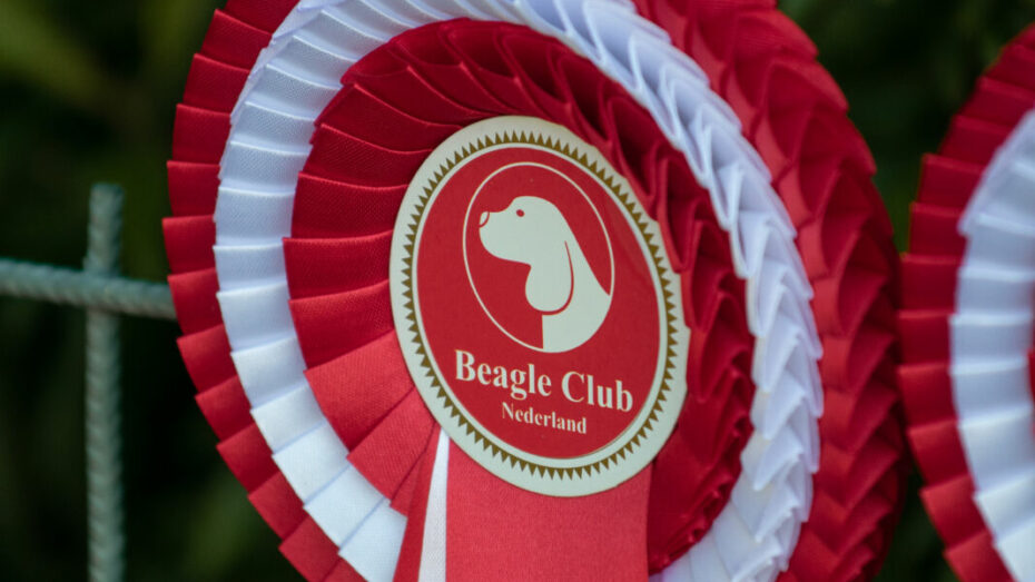 13-09-2026 Kampioenschapsclubmatch (KCM) / Beagle Specialty