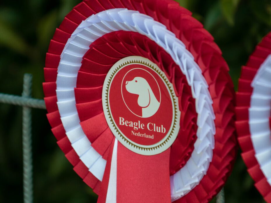 13-09-2026 Kampioenschapsclubmatch (KCM) / Beagle Specialty