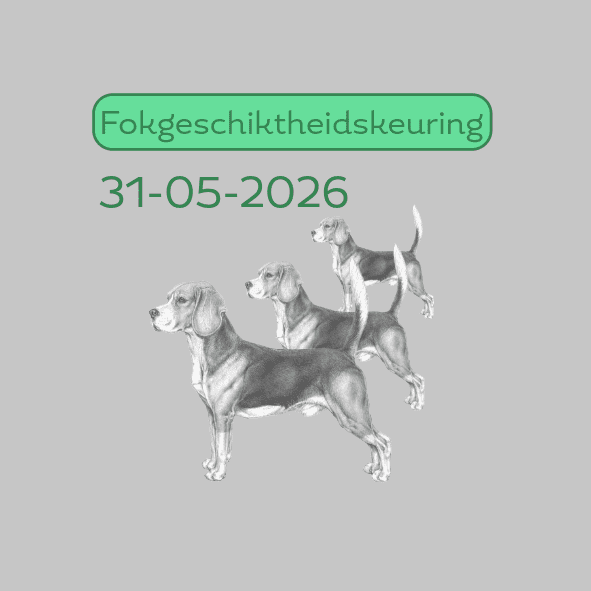 31-05-2026 Fokgeschiktheidskeuring