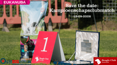 13-09-2026 Kampioenschapsclubmatch (KCM) / Beagle Specialty (Noord-Brabant)