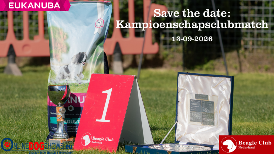 13-09-2026 Kampioenschapsclubmatch (KCM) / Beagle Specialty (Noord-Brabant)