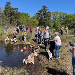 20250427 wandel-speelmiddag Den Ham-3