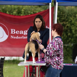20250518-BCN-JoHO-dag-26