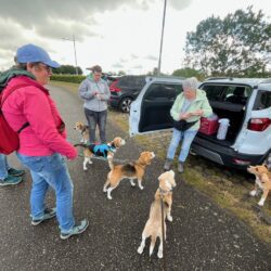 20250525-wandeling-Willemstad-02