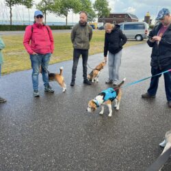 20250525-wandeling-Willemstad-03