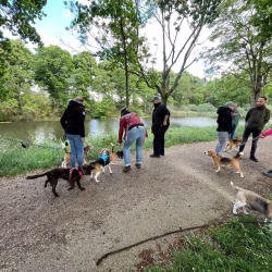 20250525-wandeling-Willemstad-07