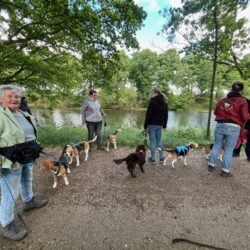 20250525-wandeling-Willemstad-08