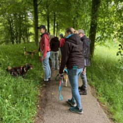 20250525-wandeling-Willemstad-10