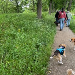 20250525-wandeling-Willemstad-11