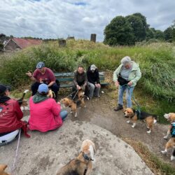 20250525-wandeling-Willemstad-14